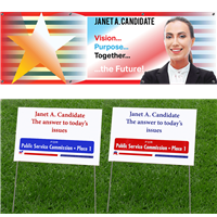 Political Campaign Signs